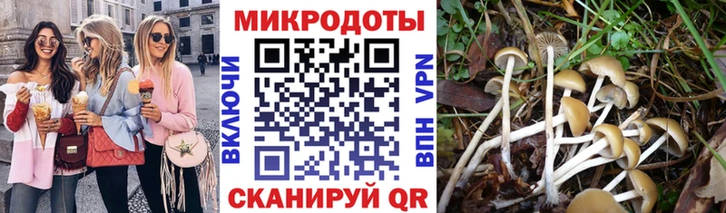 Купить  Кудрово  Псилоцибиновые грибы Cubensis 